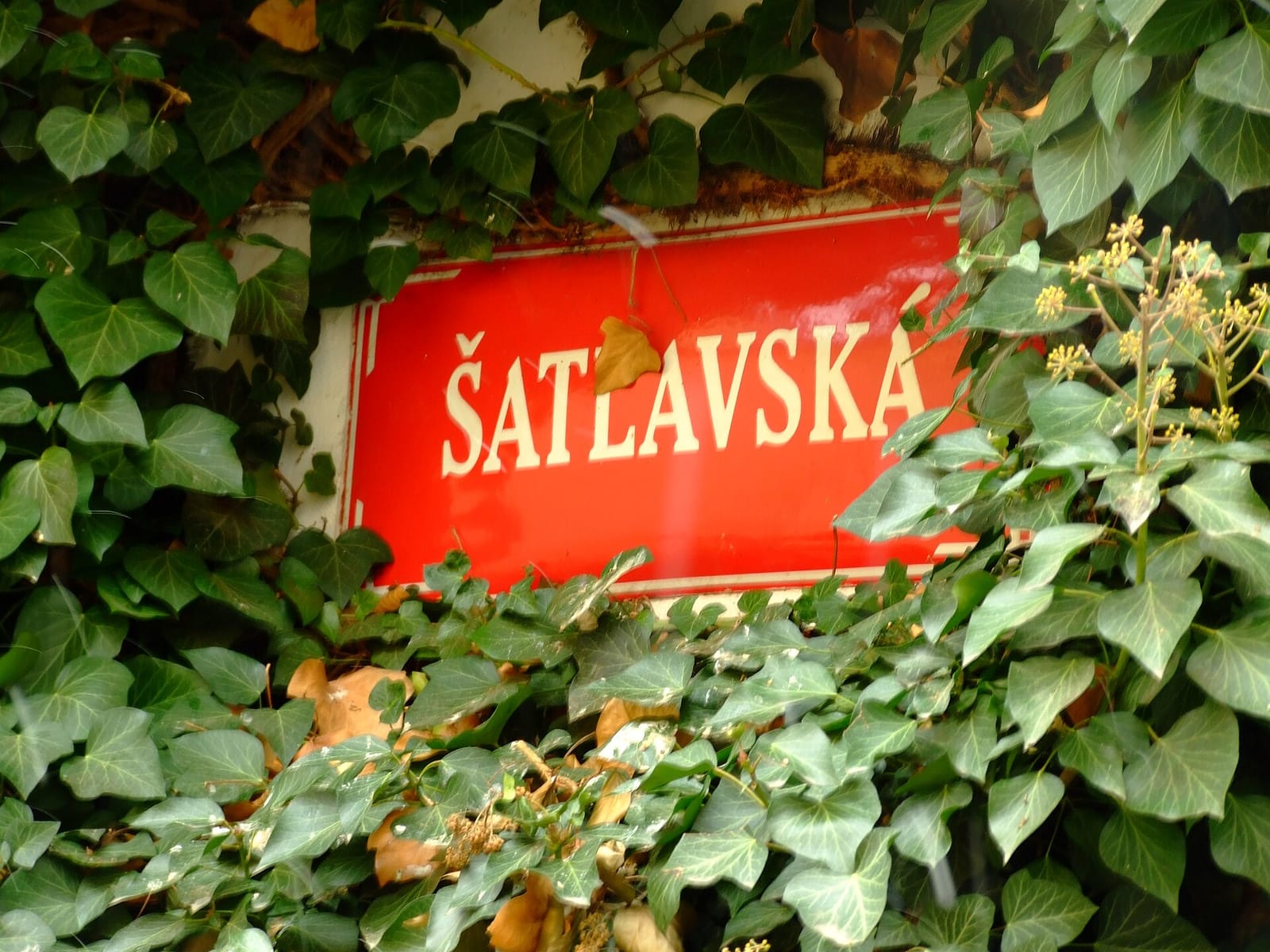 Krčma v Šatlavské · medieval cellar